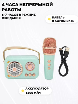 Детская караоке колонка, блютуз станция с микрофоном
