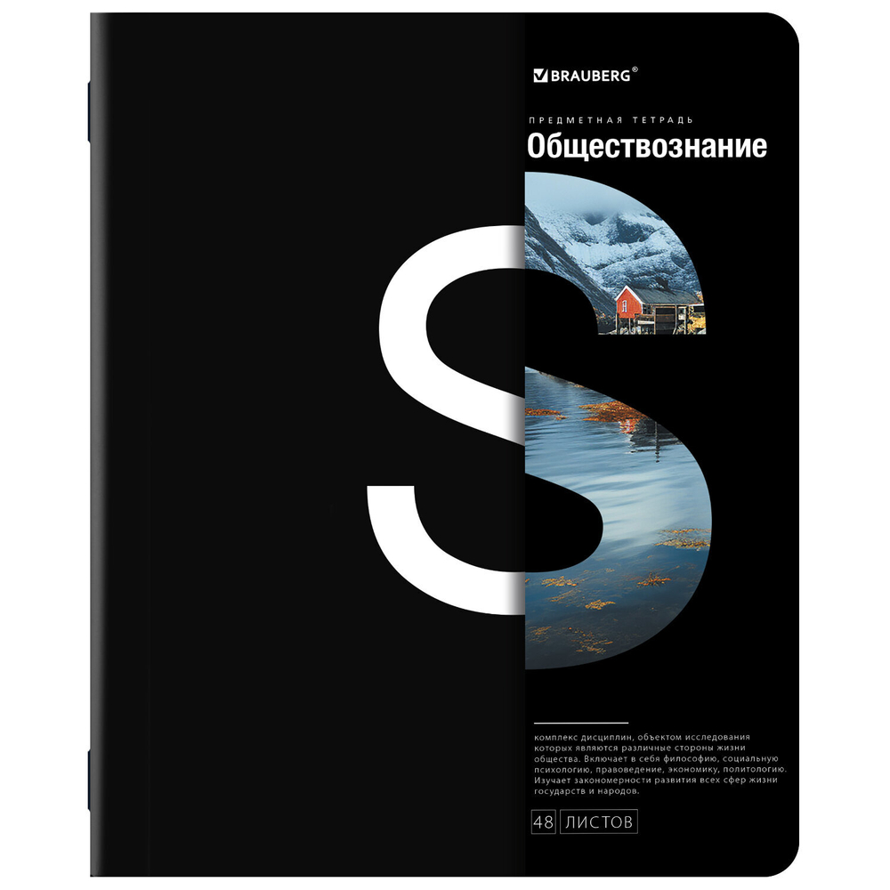 Тетради предметные, КОМПЛЕКТ 12 ПРЕДМЕТОВ, INTELLIGENCE, 48 л., матовая ламинация, BRAUBERG, 404845