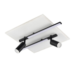 Потолочный светодиодный светильник Lumion STELLS 8256/40CL