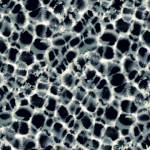 Ronald Redding Traveler