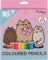 Rəngli karandaş \ Цветные карандаши 24rəng 290741 Pusheen YES