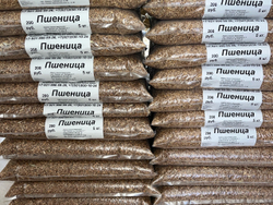 Пшеница 5 кг в Пос Ропша.