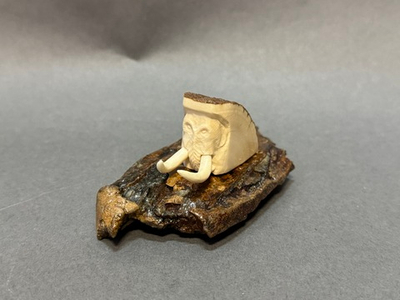 Мамонт шерстистый