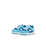 Детские кроссовки Nike Dunk Low Retro QS 'Argon' 2022 DV2634-400