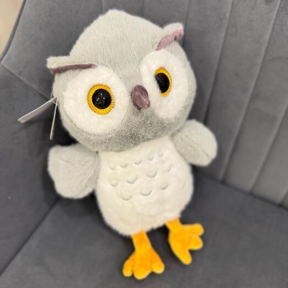 Yumşaq oyuncaq \ Мягкая игрушка \ Soft toys Bayquş (boz)