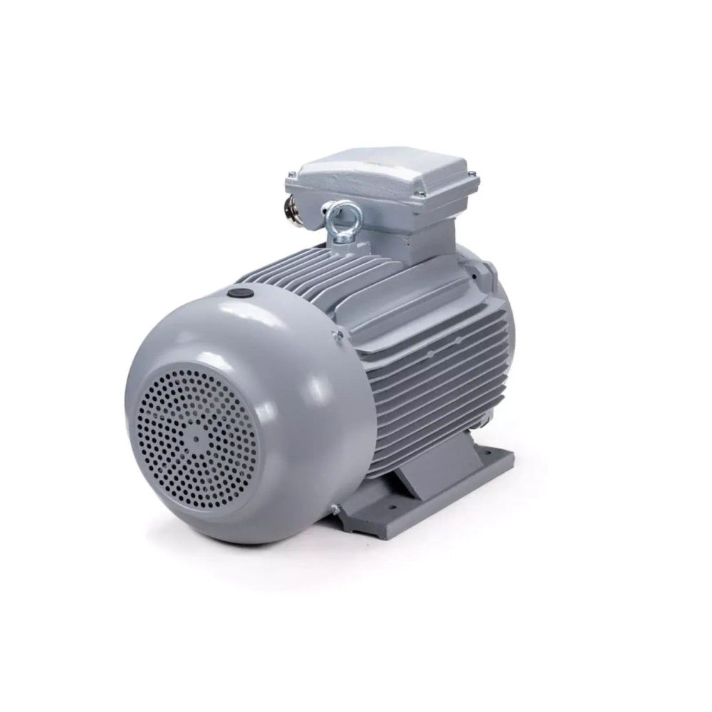 Электродвигатель ESQ PR 160 M6 GST-Б1-S12-IE2 15/1000 IM2001