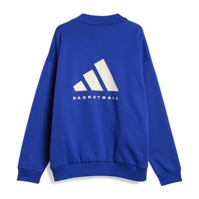 Баскетбольная толстовка adidas One Fleece Basketball Sweatshirt Blue