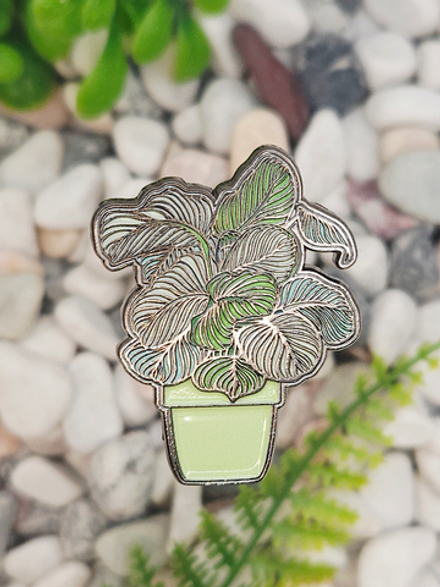 Значок Калатея