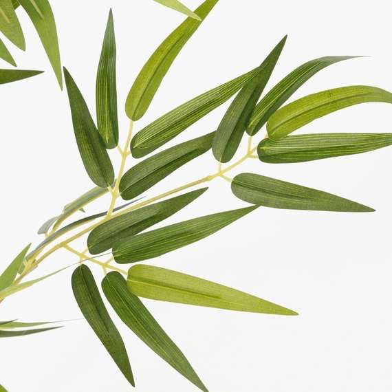 Бамбук высота 210 см, 5 стволов