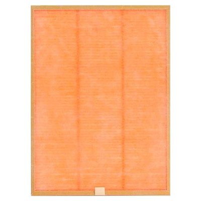 Воздушный антибактериальный фильтр Korting KIT KAP 800 N/S/W Antibacteria