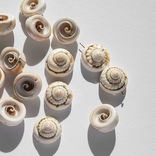 Ракушки округлые, 16-18мм