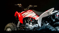 Квадроцикл MOTOLAND 250S