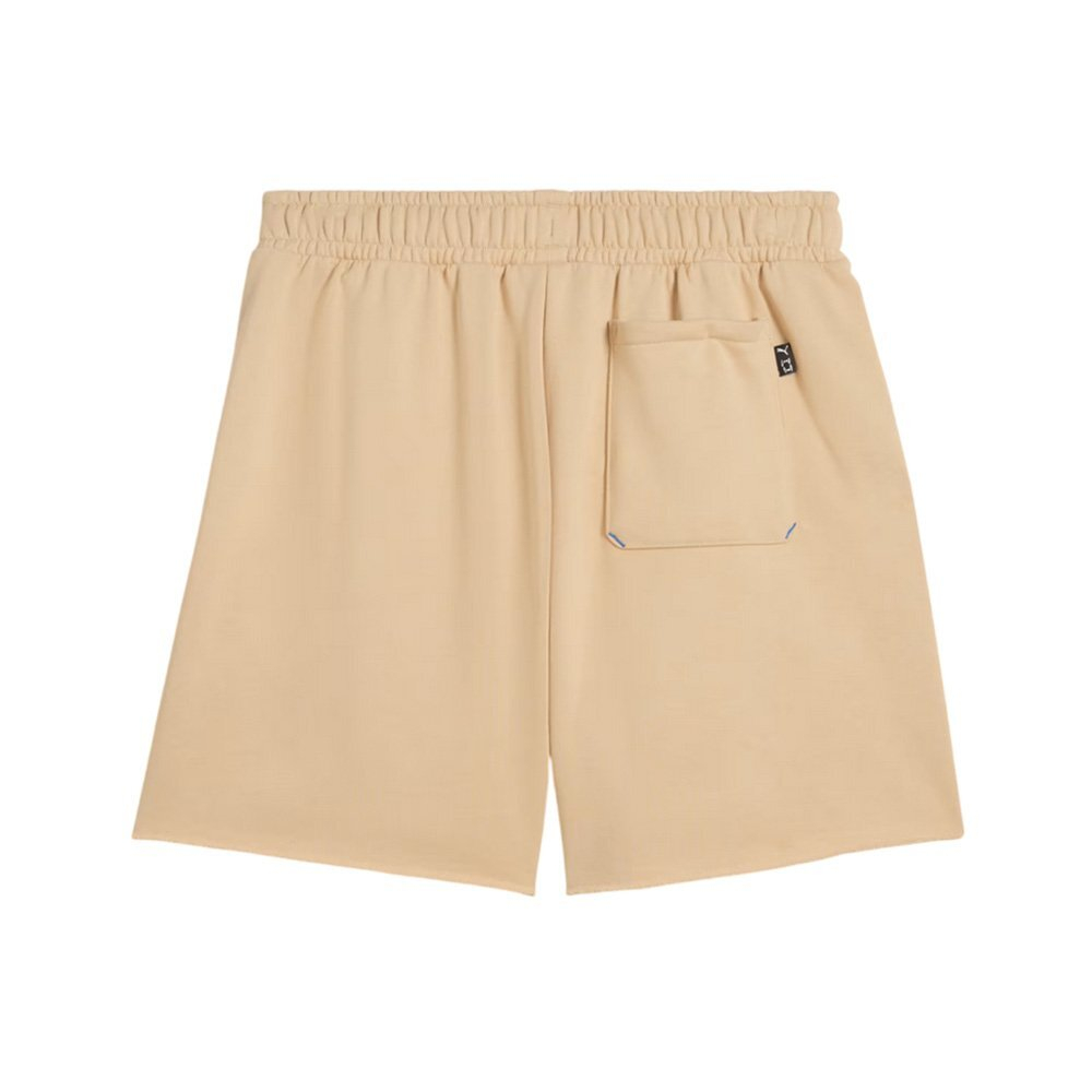 Баскетбольные шорты Puma Ancient Roars Terry Beige Shorts
