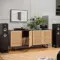 Polk Audio Signature Elite ES55 Black