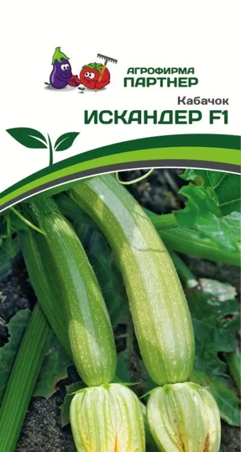 Кабачок Искандер