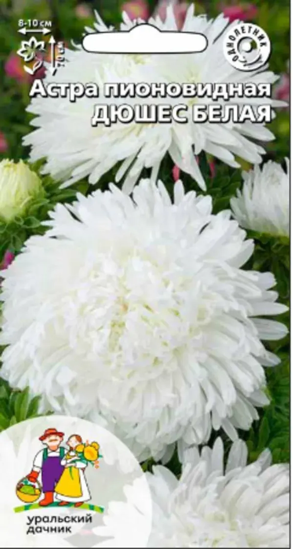Семена Астра пионовидная Дюшес белая (УД) Е/П