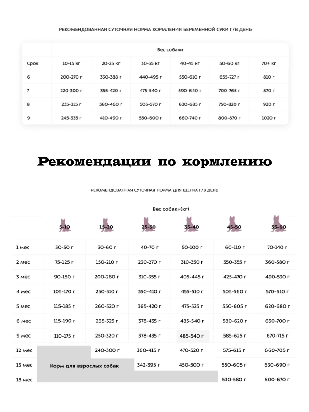 Сухой корм для котят с 1 мес. Индейка и курица