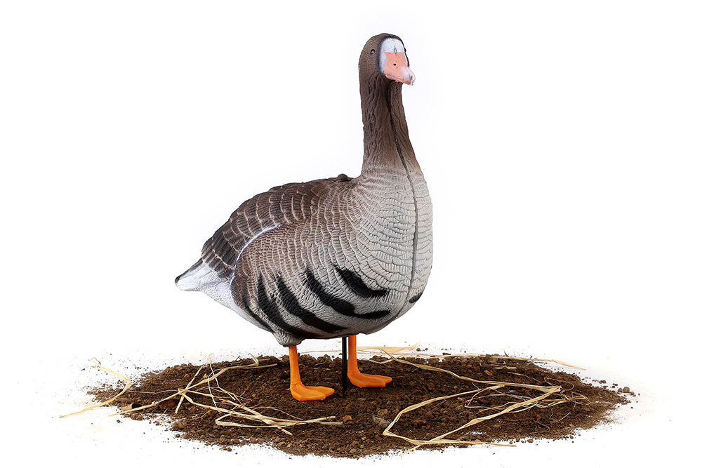 Белолобый гусь S-XPE 3D мод. B622-3D