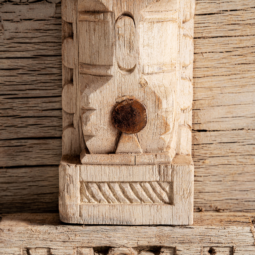 Тумба под ТВ PHALODI