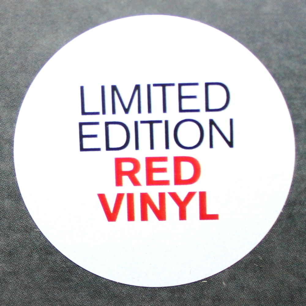 Interpol / The Other Side Of Make-Believe (Coloured Vinyl)(LP)