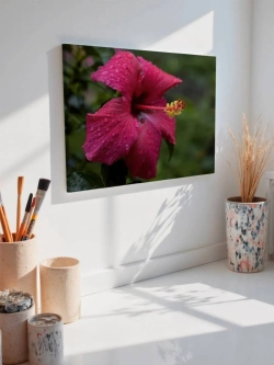 Картина на стену 40 X 50 Тропический цветок