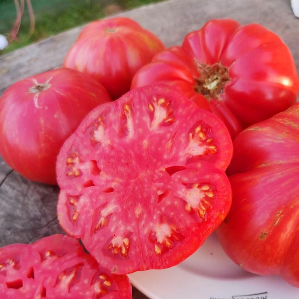 Помидоры Джаз - Jazz Tomato