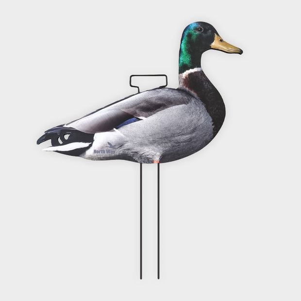 Кряква полевая 12 шт.