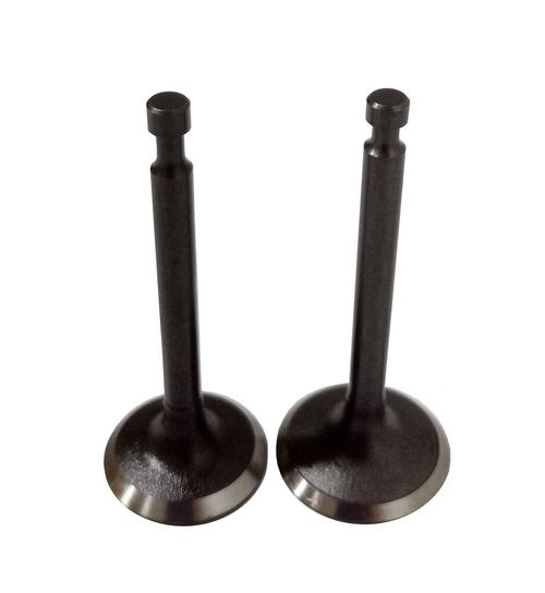 Клапаны (пара) LC1P70FA/500550029-0001