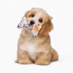 Игрушка «Подарок»