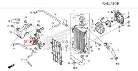 90303-KZZ-J00. NUT, CLIP, 6MM
