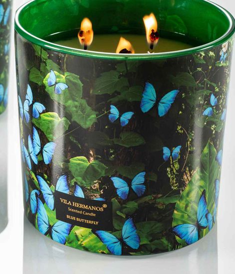 Blue Butterfly, аромадиффузор Jungletopia collection, Vila Hermanos
