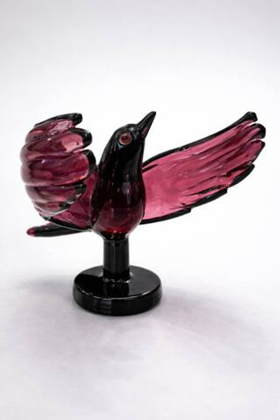 Птица Парадизо Роза