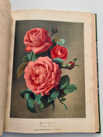 "Nestel`s Rosengarten. [  Сад роз Нестела]". E. Schweizerbartsche Verlagshandlung. 1869г.