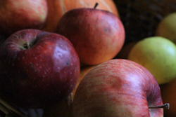 Яблоки сезонные