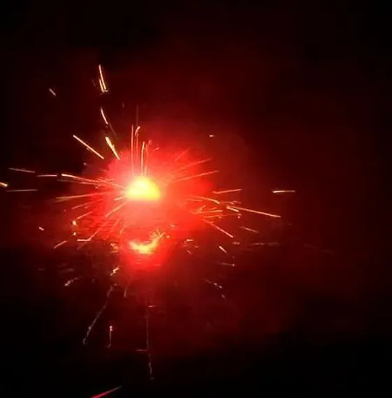 Улетный жук РC1362