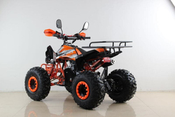 Квадроцикл MOTAX ATV T-Rex Super LUX 50 cc