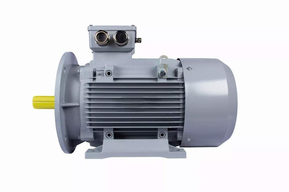 Электродвигатель ESQ PR 180 L4-SDN-Б1-S12-IE2 22/1500 IMB35
