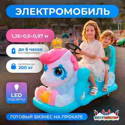 Детский электромобиль для парка «Пони заезд» двухместный, усиленная подвеска