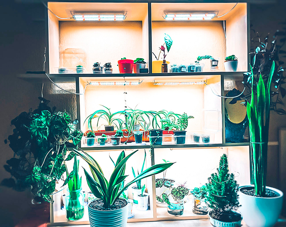 Фитолампа для освещения растений в теплицах и гроубоксах