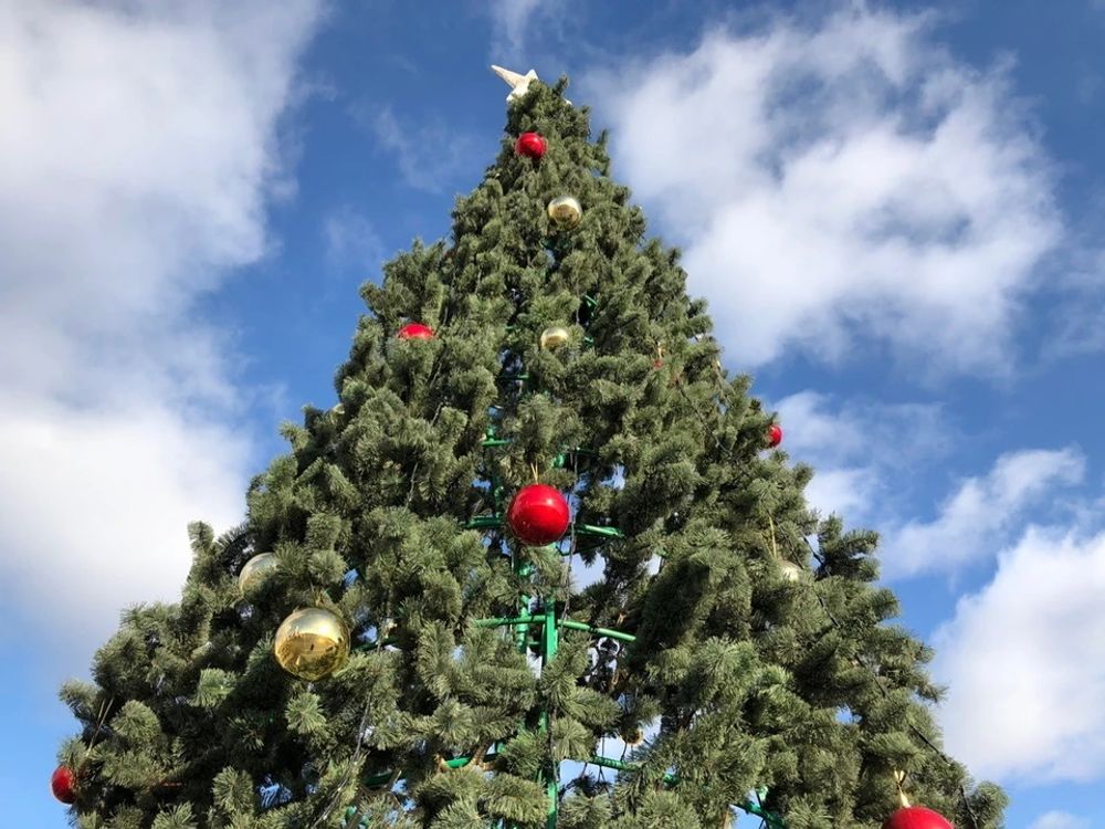 Уличная елка каркасная "Евро-2 Сосна" (Леска) 14 м