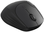 Мышь Wireless Rapoo MT560