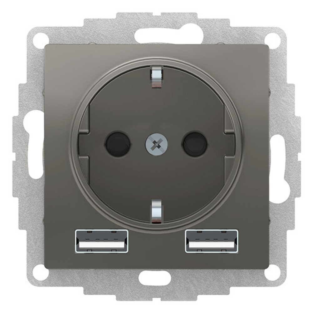Розетка с заземлением с 2 USB  Systeme Electric ATN000930
