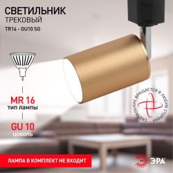 Трековый светильник однофазный ЭРА TR14-GU10 SG под лампу MR16 сатин-золото