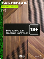 Табличка Вход только для совершеннолетних, 30х10 см, для офиса, кафе, магазина, паркинга, серия COSMO, Айдентика Технолоджи