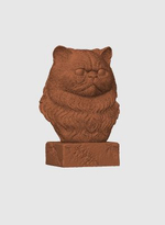 Персидская Кошка