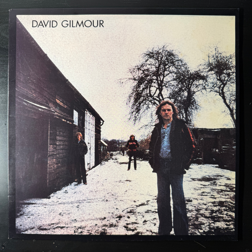 David Gilmour ‎– David Gilmour (Швеция 1978г.)