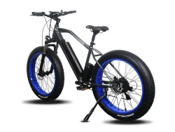 Электрофэтбайк Volt Age ALL ROAD W