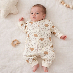 Набор Контурные Мишки