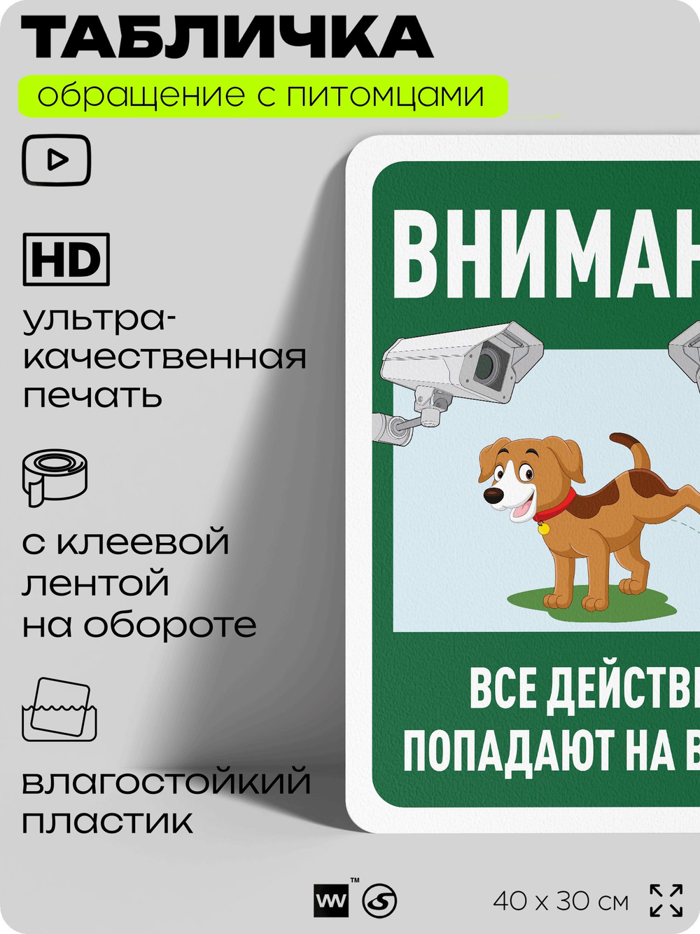 Табличка "Внимание, все действия попадают на видео" на дверь и забор, для двора, дома, подъезда, 40х30 см, Silver Plane x Айдентика Технолоджи