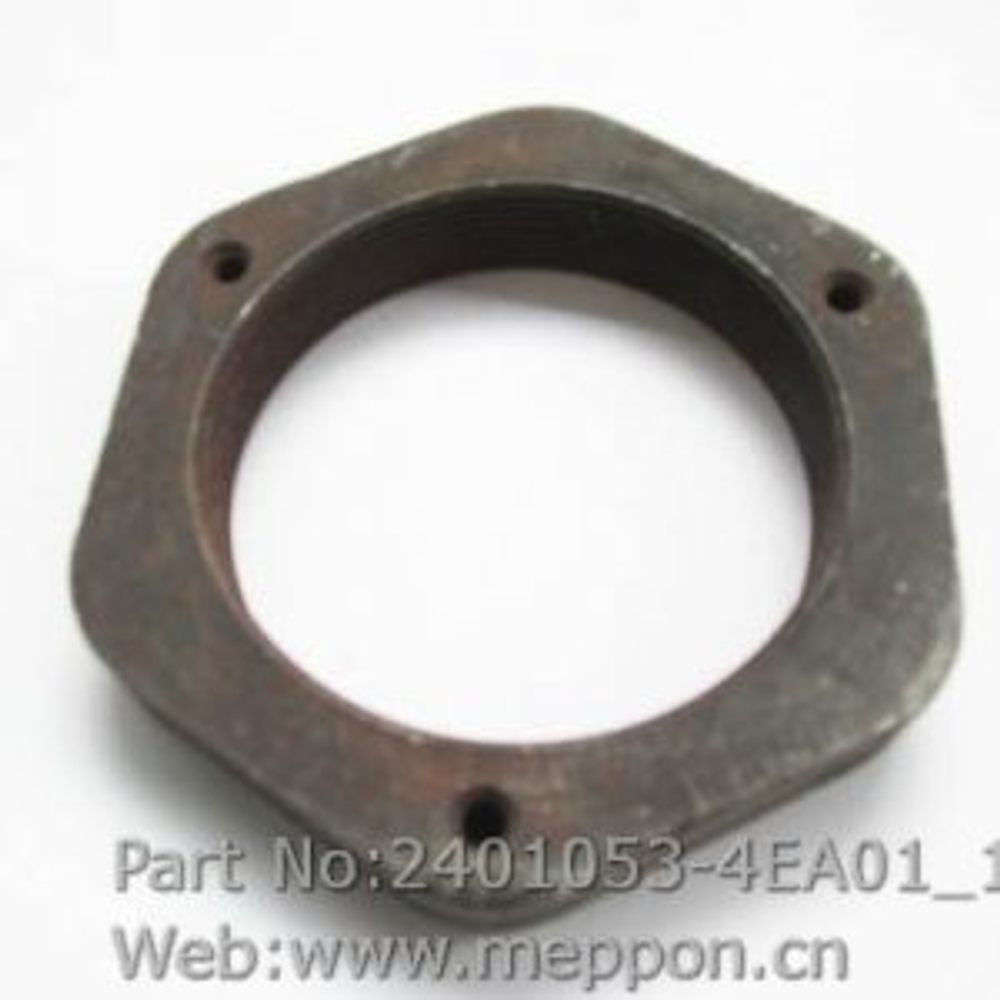 Гайка фланца 2401053-4E